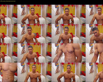 teddyfit19cm