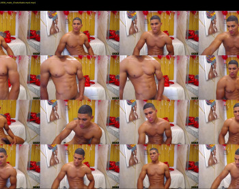 teddyfit19cm