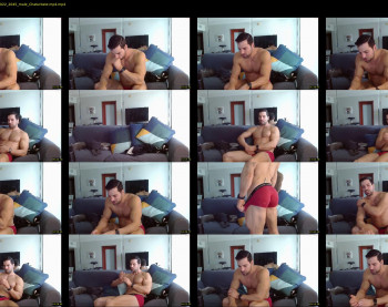 therealkingyoshi