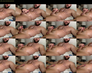 cockheadstud