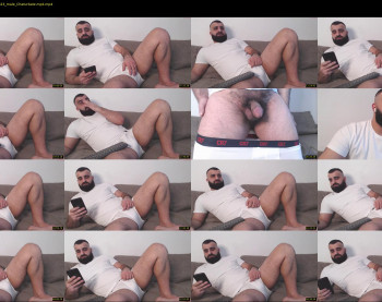 djefri_bear