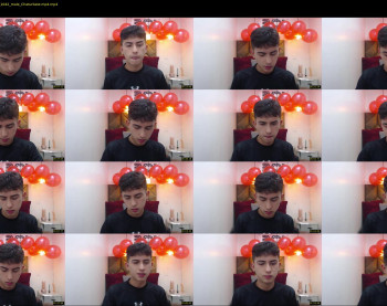 dominichale_