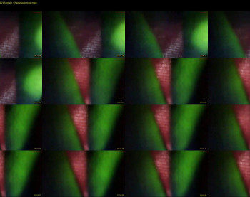 dotadoxxx30