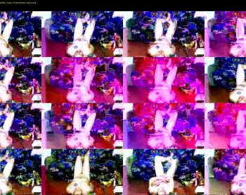 mrninja1313
