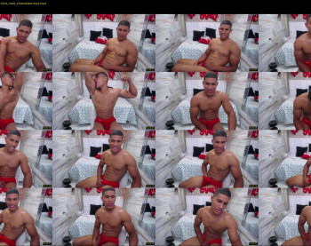 teddyfit19cm