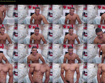 teddyfit19cm
