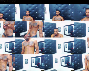 11inchesblackcock