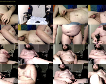 doctordikpig