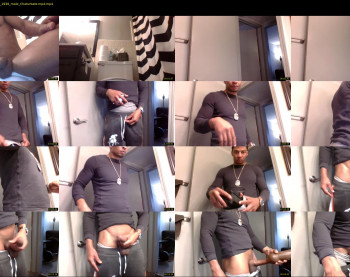 sharkdickwilly