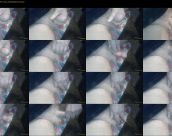 stillhorny53