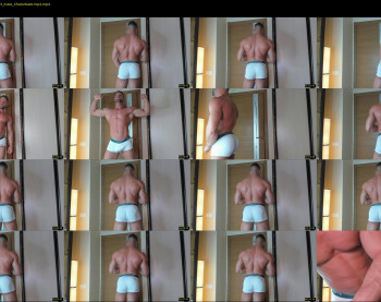 _adam19