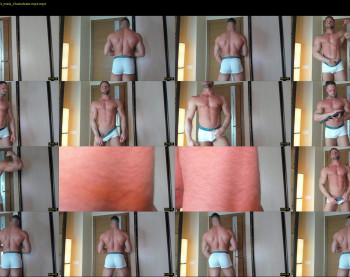 _adam19