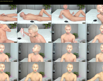 archy_8