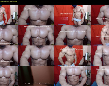 promuscles4u