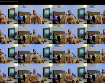 swedishvikingstud