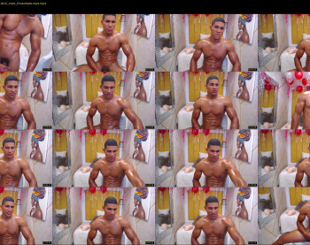 teddyfit19cm