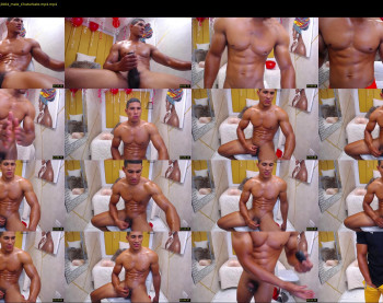 teddyfit19cm
