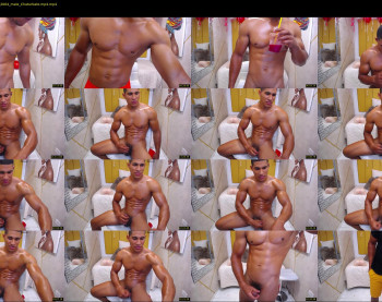 teddyfit19cm