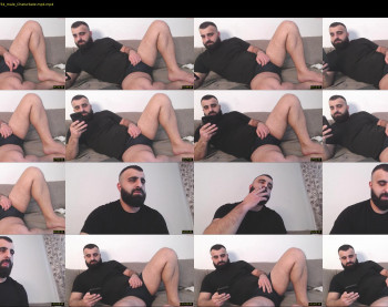 djefri_bear