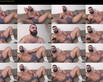 djefri_bear