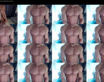 flex_x_x