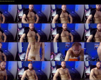 king_harley