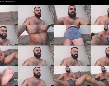 djefri_bear