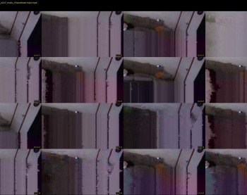 kevin2315top