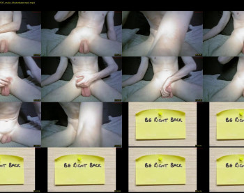 little_bird88