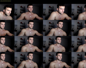 ryanflex