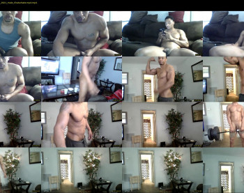 sharkdickwilly