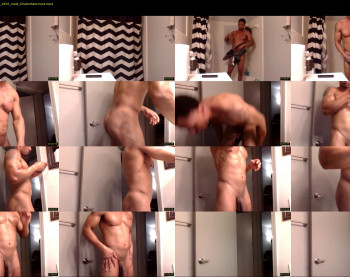 sharkdickwilly