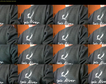 il_undercover