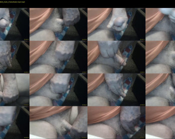 stillhorny53