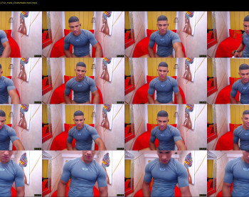 teddyfit19cm
