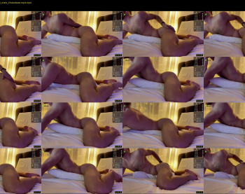 alexyork