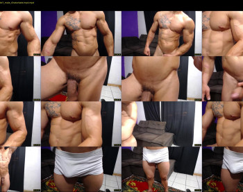 bestmuscle