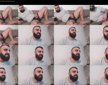 djefri_bear