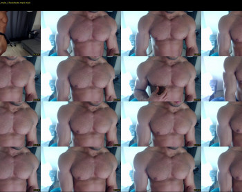 flex_x_x