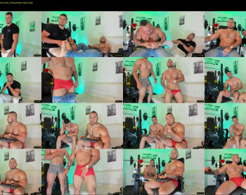 mason_fit