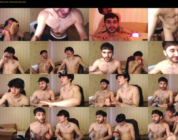 teddy_mode