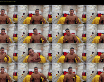 teddyfit19cm