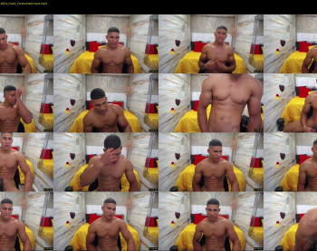 teddyfit19cm