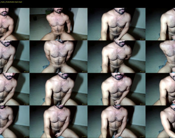 toyboyq