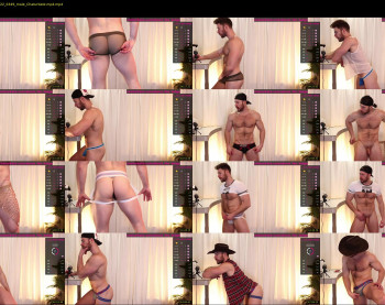 about_the_bulge