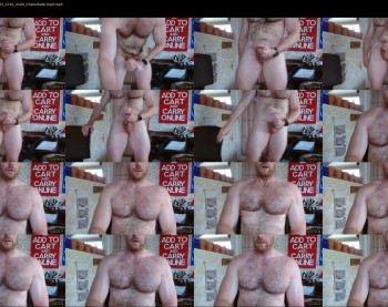 aucklandshyguy