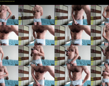 hot_bear_