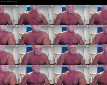 hungarianbull1