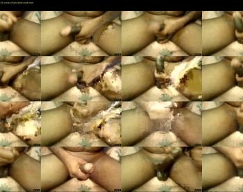 lincevv143