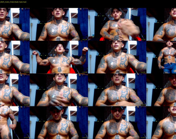 maxstephenx
